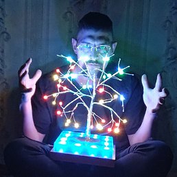 ���������, ����-���������, 38 ���