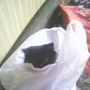 ���� ����, ������, 22 ���� - ��������� 16 ������ 2025 � ������ ���� ����������