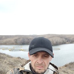 ������, ������, 46 ���