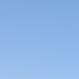 �������, ������������, 39 ���