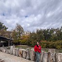 ���� �����, ���������, 49 ��� - ��������� 18 ������ 2026 � ������ ���� ����������