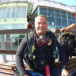 �������, 51 ���, �����