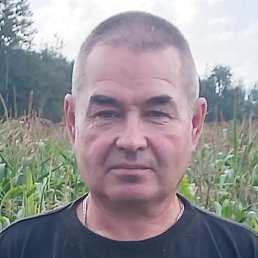 �����, �������, 55 ���