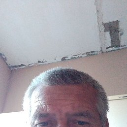 , , 50 