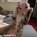 ���� �������, �������, 30 ��� - ��������� 7 ������� 2025 � ������ ���� ����������