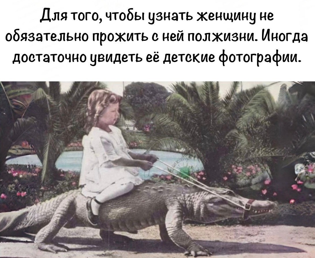   - 11  2025  03:54