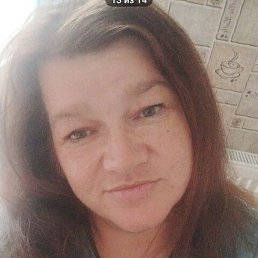 �����, �����, 41 ���