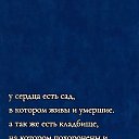  rin,  -  17  2024    