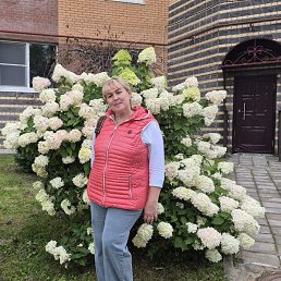 , 53, 