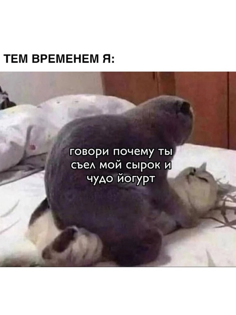 ������. - 24 ���� 2025 � 15:24 - 2