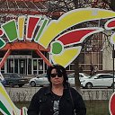  ,  , 50  -  28  2025    