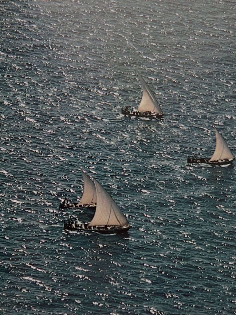 ����� ������� ������� ��������������� �������� � 1973 ����. ���������� �� ��� ��������� �� ������� ... - 5