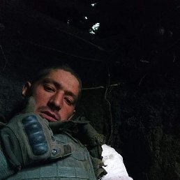 , 33, 