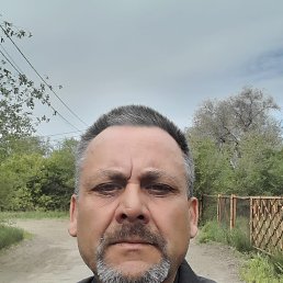 , 50, 
