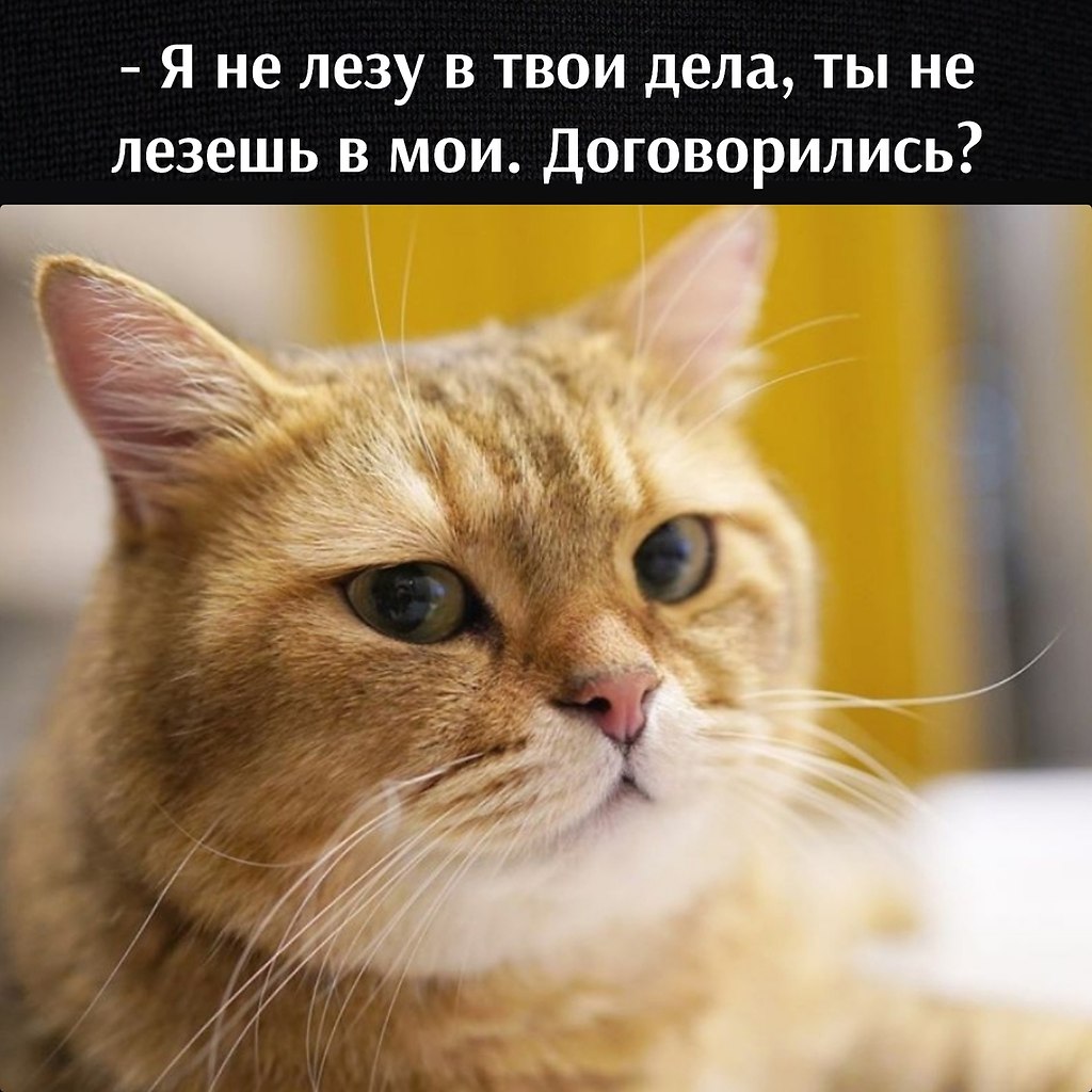       - 30  2024  11:14