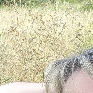 , 41 , 