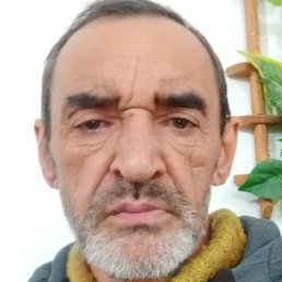 ��������, �������, 56 ���