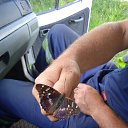 ���� �������, �����-���������, 60 ��� - ��������� 25 ������� 2023