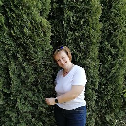 , 48, 