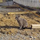 ���� Ivan, ������, 59 ��� - ��������� 29 ������ 2025 � ������ ������ ��������