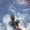 ���� �����, �������, 60 ��� - ��������� 7 ������ 2025 � ������ ������ ��������