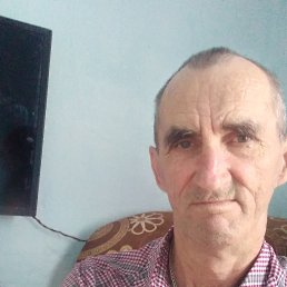 , 66, 