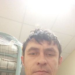 ��������, 39 ���, �����