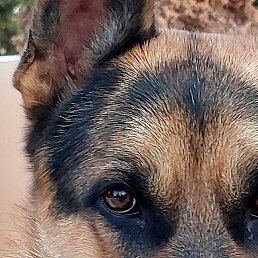 ������, ������, 20 ���