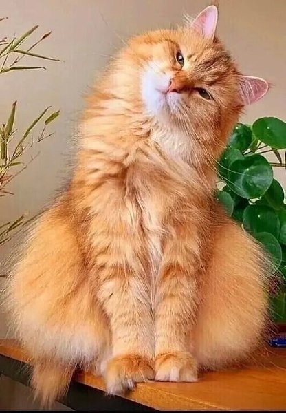  - 1  2025  10:50 - 4