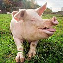 ���� �����, ������ - ��������� 21 ������ 2025 � ������ ���� ����������