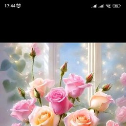 ���� �����, ����, 43 ���� - ��������� 12 ������ 2024