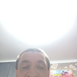 , 51, 
