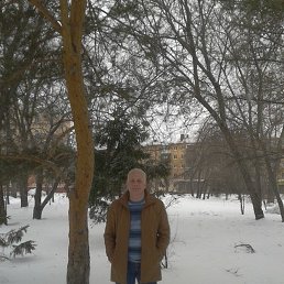 ��������, ����, 66 ���