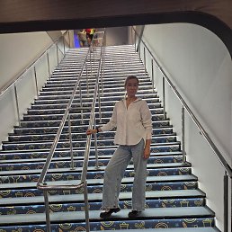 , 41, 