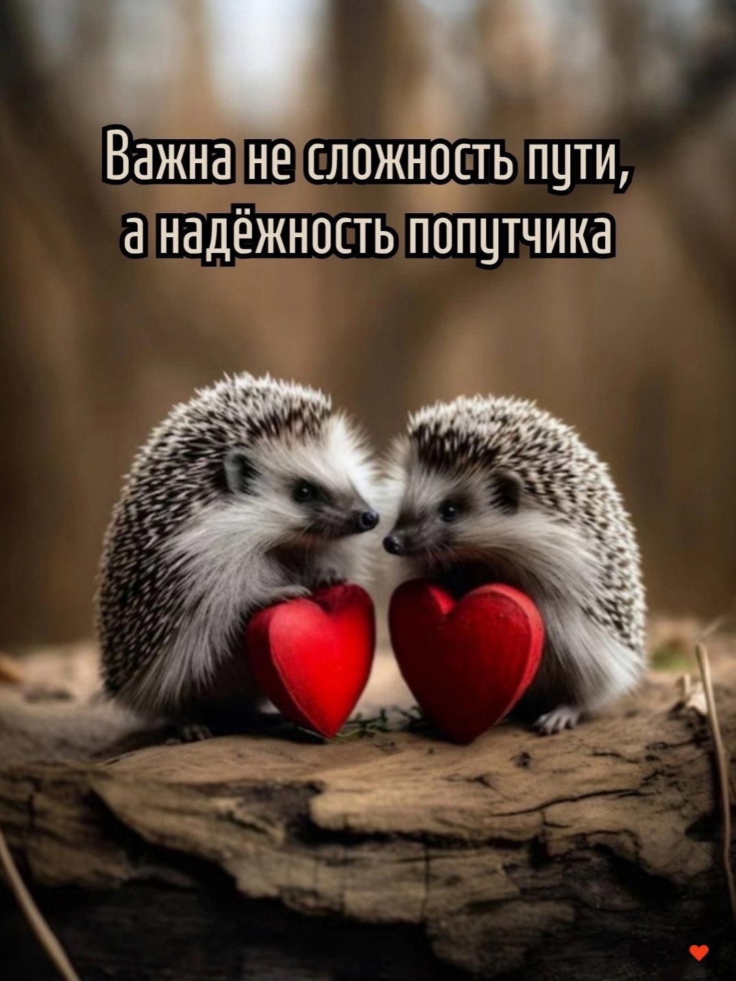  - 27  2025  18:56
