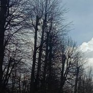 �������� �������, 62 ����, ������� ��������