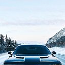 ���� Russian, ��������, 43 ���� - ��������� 25 ������ 2026