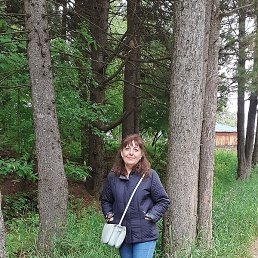 ������, �����-��������, 64 ����