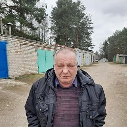 , 61, 