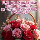 ���� �������, ���� - ��������� 17 ������ 2026 � ������ ������ ��������
