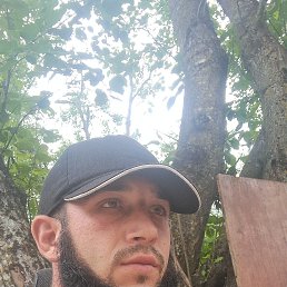 , 29, 