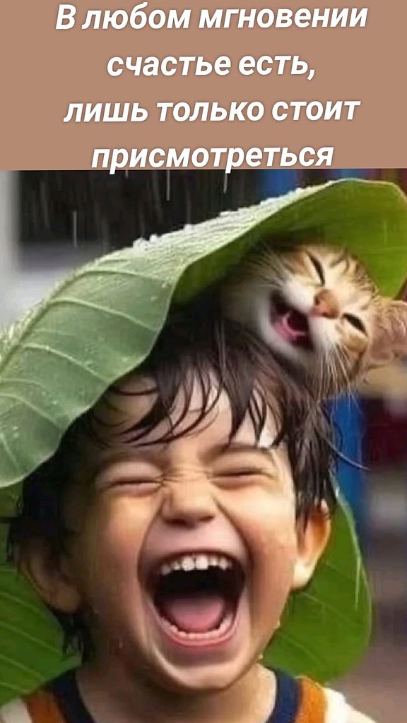 ₪╬═►  ||  ||  ◄═╬₪ - 4  2024  10:12