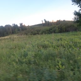 ���� ��������, ������, 66 ��� - ��������� 24 ���� 2024