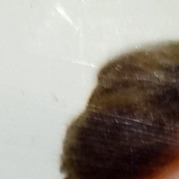 �������, ������, 65 ���