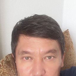 , 53, 