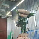 ���� ������ Cccp, ������, 57 ��� - ��������� 10 ���� 2026 � ������ ������ ��������