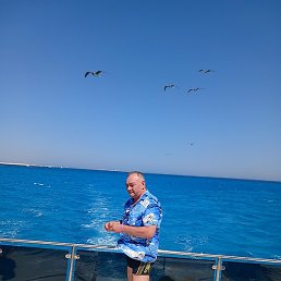 �������� ��������, ������, 57 ���