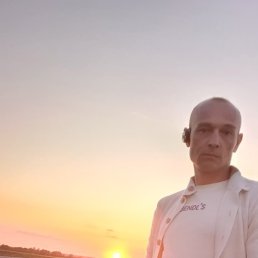 , 41, 
