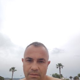 , 51, 