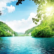 ��������, 67 ���, ������